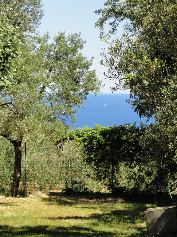 צ'ריאלה Camping Ali Baba מראה חיצוני תמונה